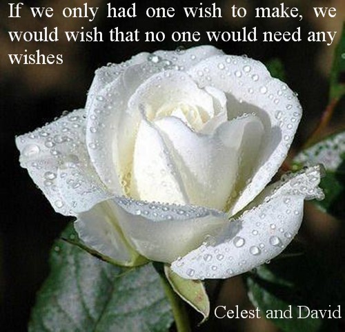 One Wish to make2